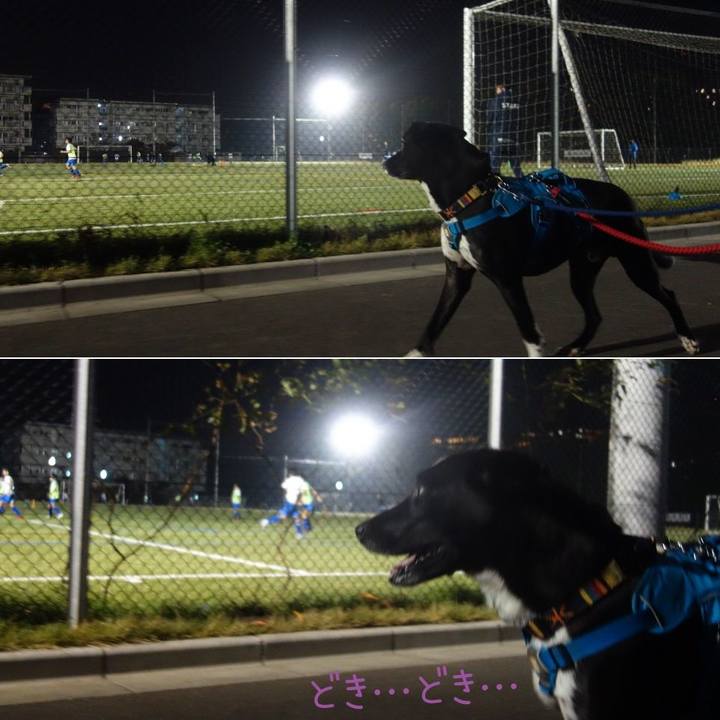 19bdd565 191d 461e b9af b386584a1808 1605694653847