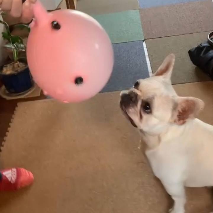 19bdd7f3 6738 43a4 b589 fe8f7654e726 1685918249385