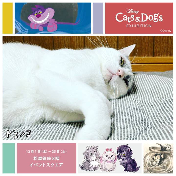 19bde64b e380 4152 a3e6 784a06c33645 1638347517406