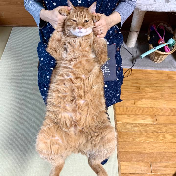 19be28c7 05e1 4b61 8cde 29a1a8ec67f3 1588128653217