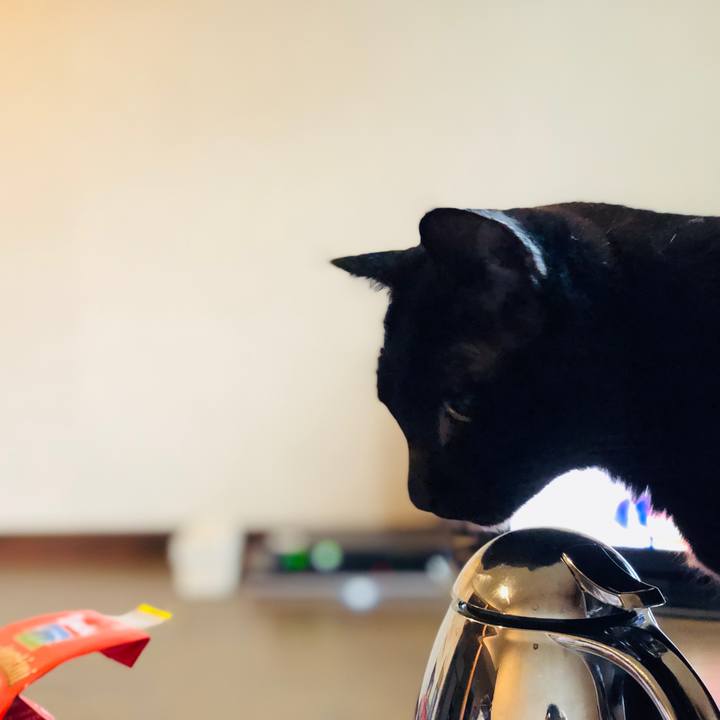 19be5643 6a83 4b26 9561 a152ac41fd78 1546324317712