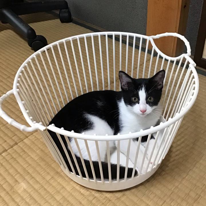 19be5d9a 49a4 4adf 9080 a51c10d44304 1628071236574