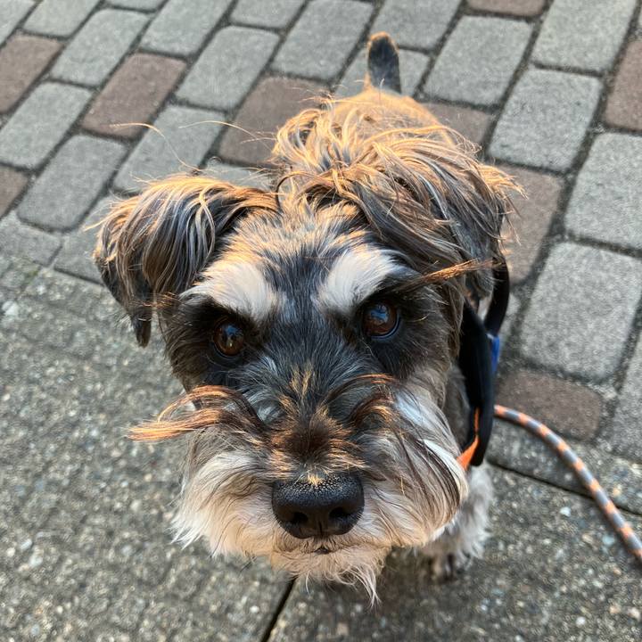 19be718d 3c54 4d06 8a81 a1ca223ff523 1747466298744