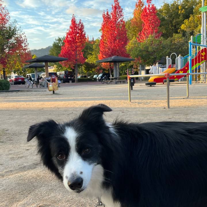 19beaf19 add8 4ba5 904a 1a0cc1f321ce 1762336307406