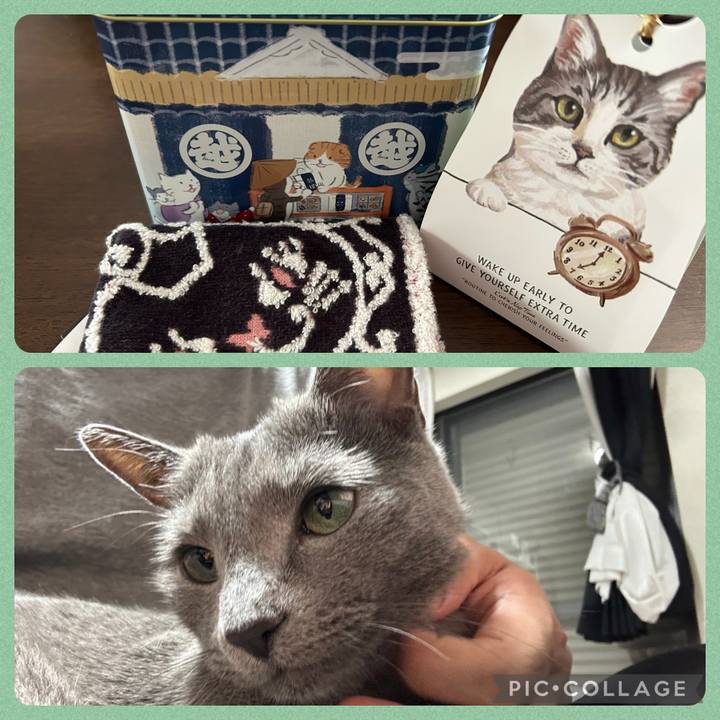 19bec073 39fe 4fe3 a335 2693f1e2e0b5 1691989771110