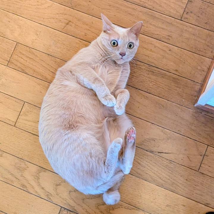 19bf1e7c 14bb 4f07 9e84 ea74d09e290a 1769385501061