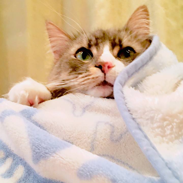 19bf67b4 c53d 48ea bf1c 394564a3647c 1555610133936