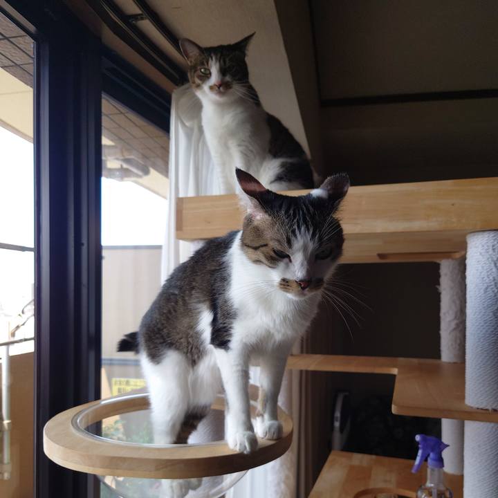 19bfa2f3 e0ab 4bf0 942f 4ca99fc5eb40 1754195003537