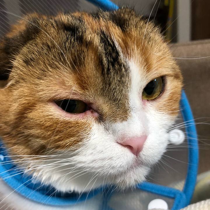 19bfb579 64f0 48c4 a2d2 9c3773aaef83 1526638732252