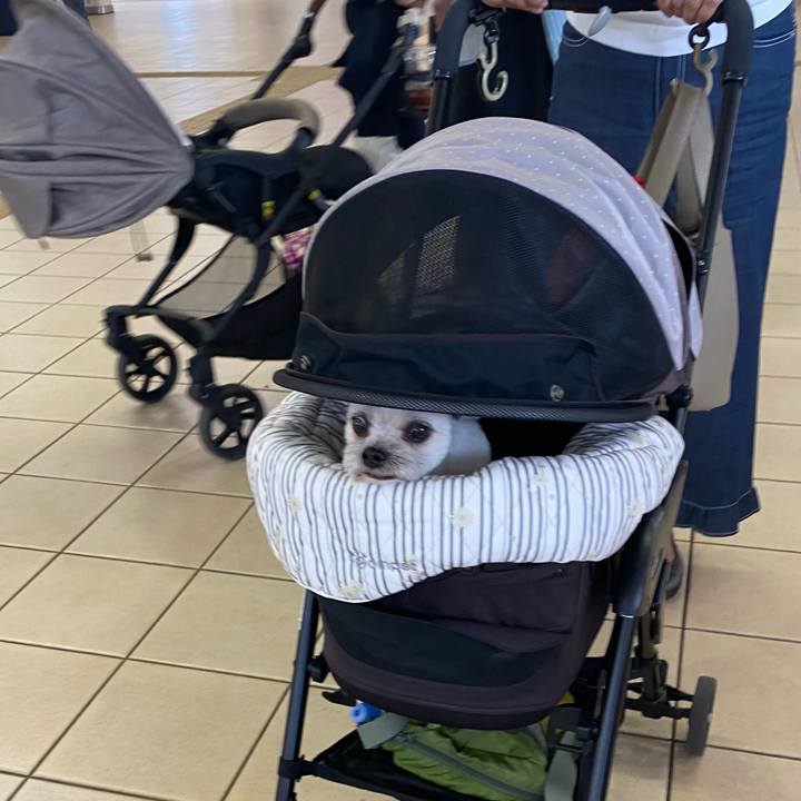 19bfd118 fd9e 4af1 817e fbae791aa904 1728794270878