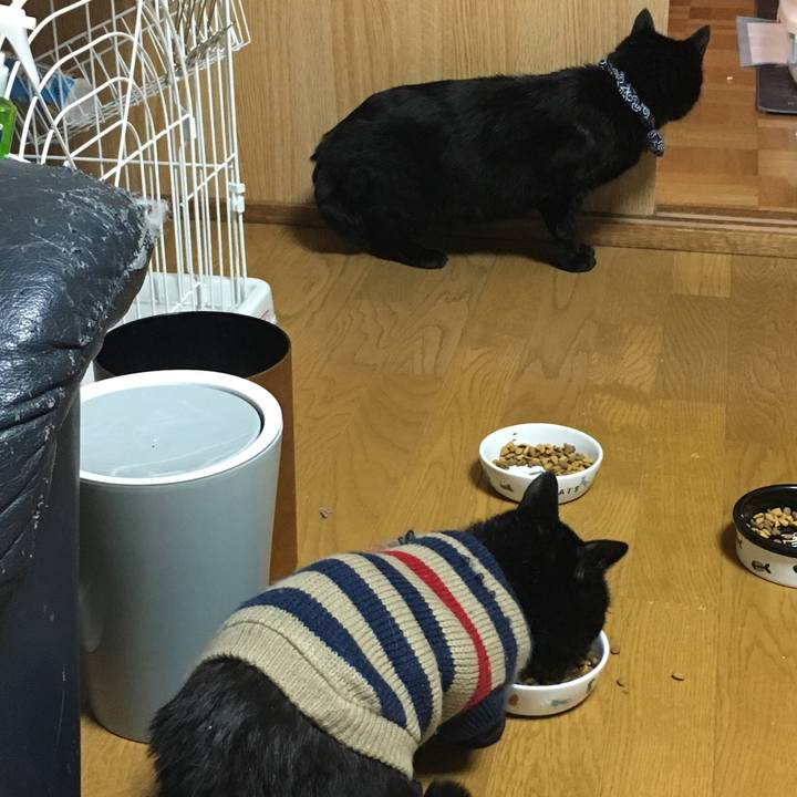 19bfde1b 607f 4c8a 92ba 40a8ba8814af 1549541537126