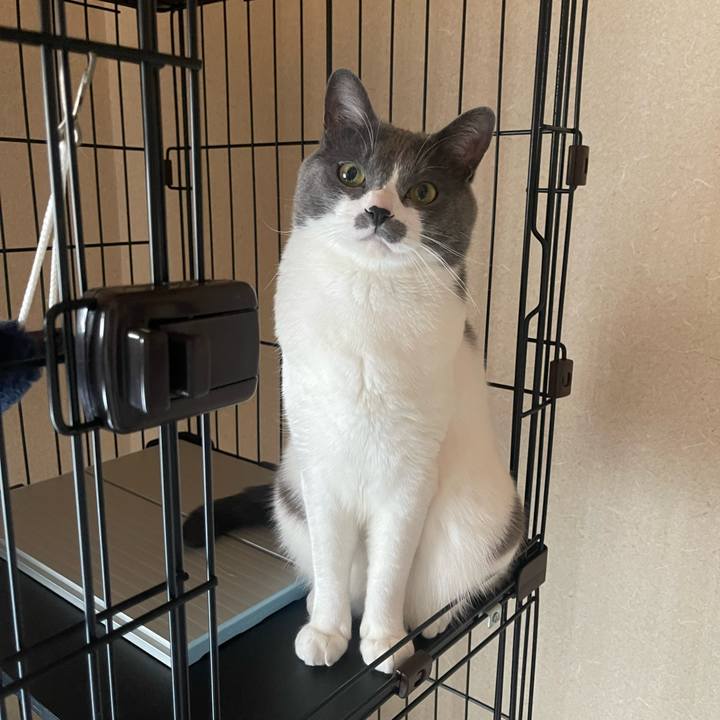 19bfe9d5 e168 4be0 a345 ec3c2e6f9c6a 1680594322717