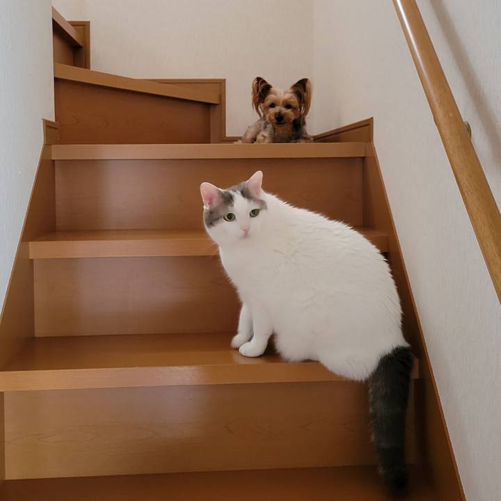 19c015b7 4a63 4874 80e3 3542757727bf 1625096818287