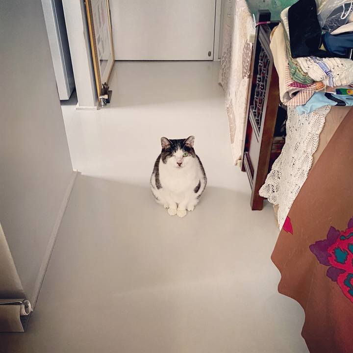 19c02e4e f357 4cc2 a1c7 aa621e712784 1583218299407