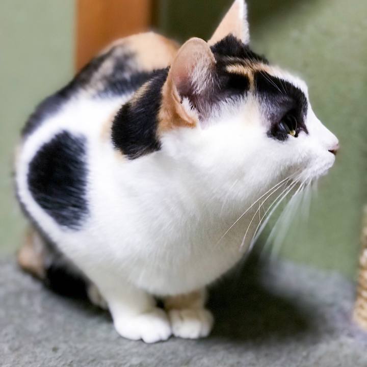 19c0a7da 75a5 4bd6 8bf6 f3a46e138c7b 1511186823683