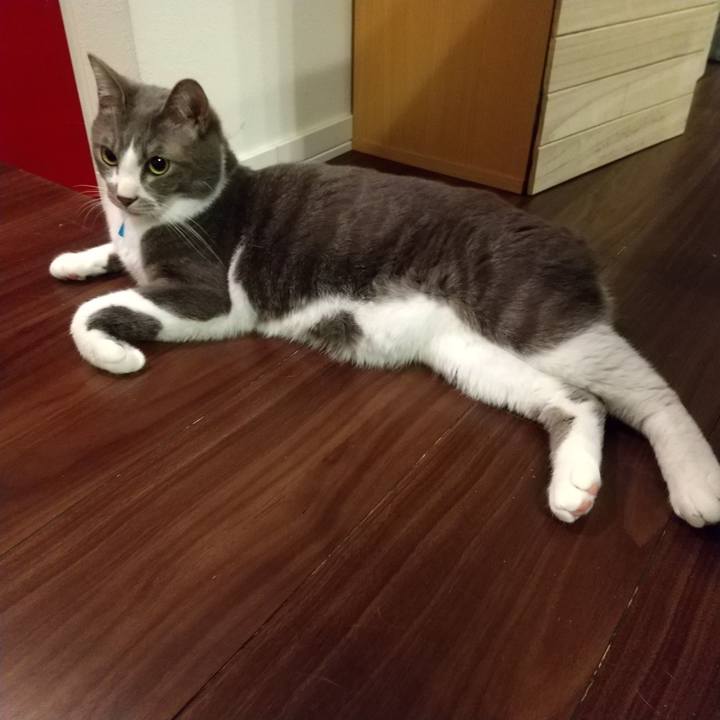 19c0b48f 7368 43de 85e4 658aafdf3f16 1615210549288