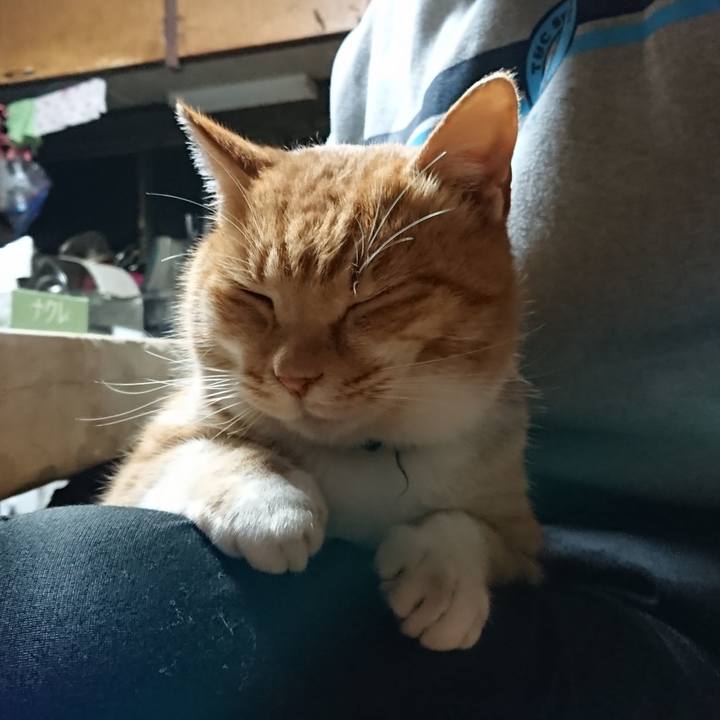 19c0f139 5229 4357 82b4 34014f7add2f 1606506485708