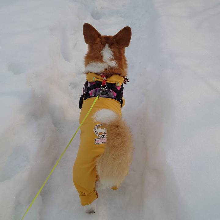 19c0f17f e53b 4c02 81df 554e3877e809 1771148479537