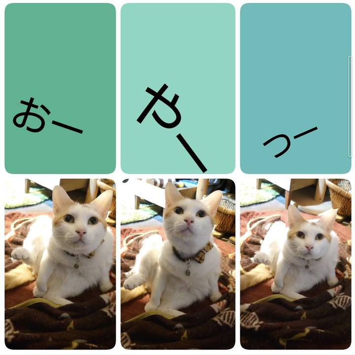 19c0f18d 525a 44cf 9bc7 06348a3b5e89 1615897124297