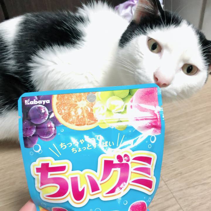 19c132e3 2c79 48e1 a8a8 bd0d096fafce 1550131852768