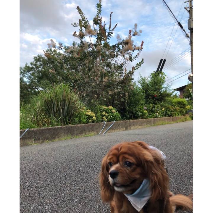 19c1b068 9f05 4b2d b4e2 1ed6a822eaec 1627165776669