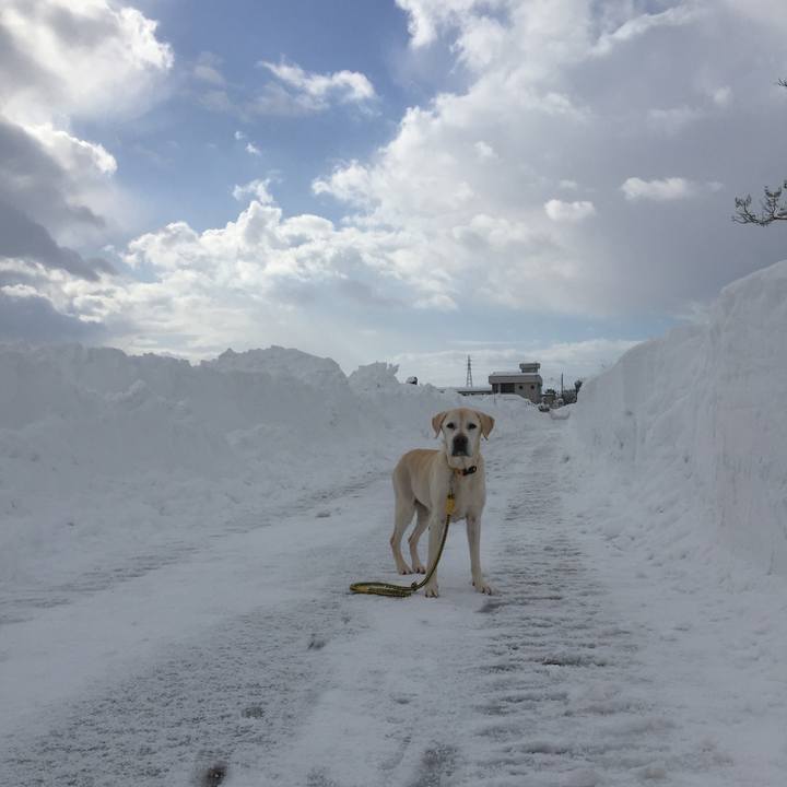 19c1b5d3 454b 4649 a625 0bf5e393be34 1517370950177