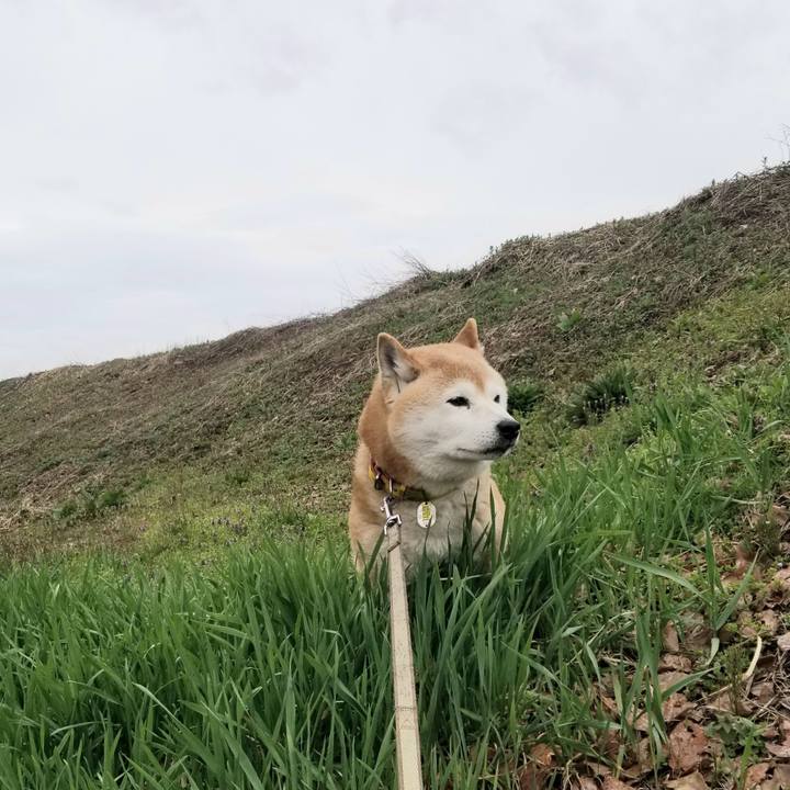 19c21004 4e6b 40a2 a18c 026a6a88193f 1681538774006