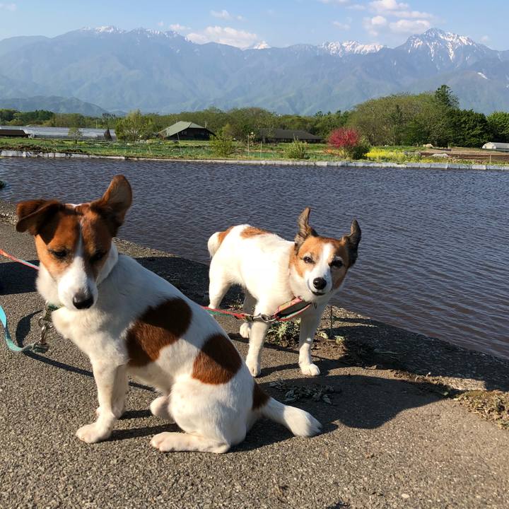 19c24313 dcd1 4e16 89cd d78a97b1c345 1525484776167