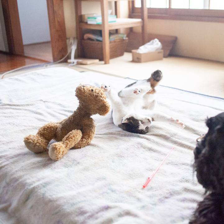 19c25f7d 0dd2 4769 8154 06e6b0c3a414 1554909855259