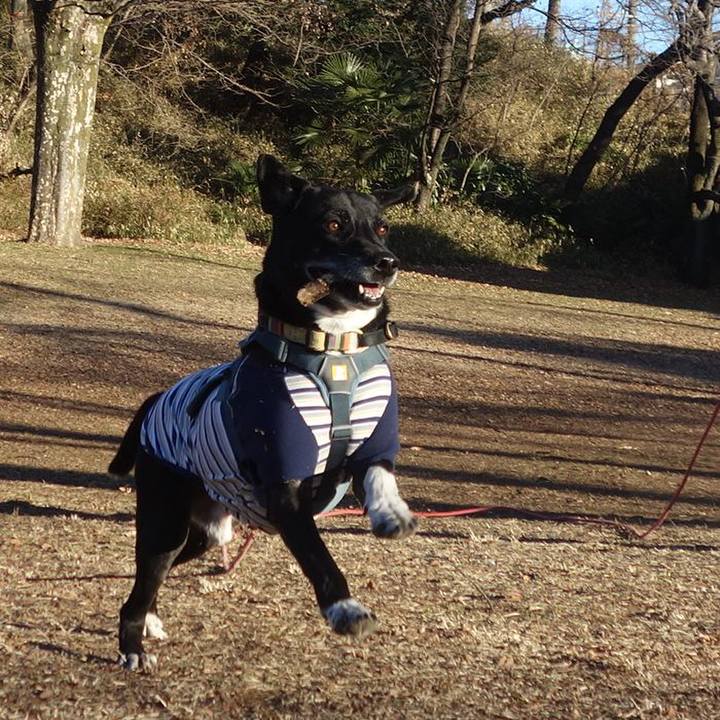 19c2846f 17bf 40b3 9799 9d9dad5fd877 1705367515314