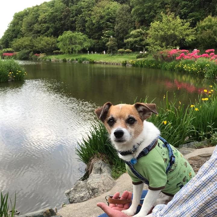 19c2a75f 36d0 4588 bce4 055307905b8e 1556957754743