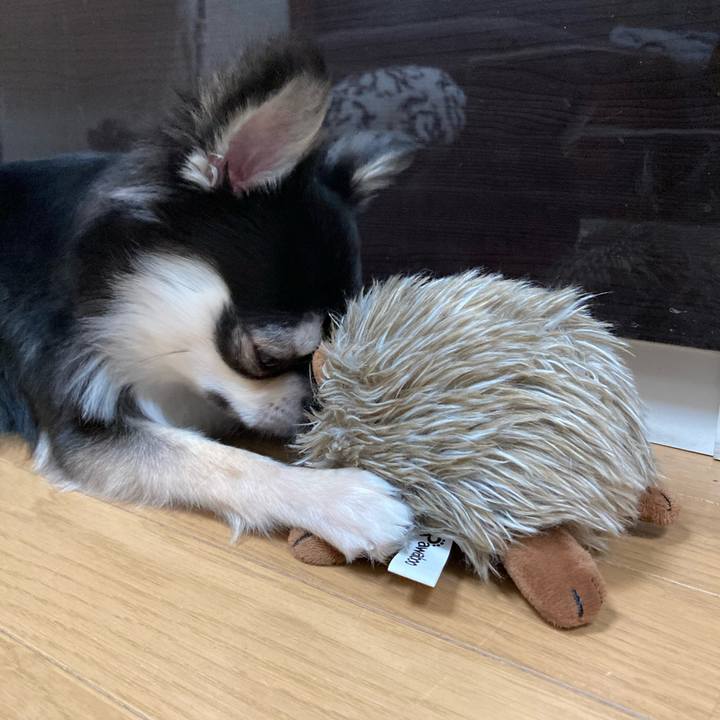 19c2d60b f237 41b6 803d ff52f878e197 1620048863630