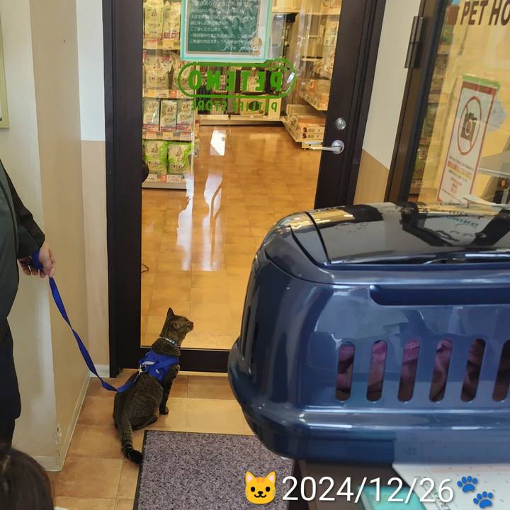 19c2fdf5 49fd 48e8 893b a61e00928b4d 1766758153020