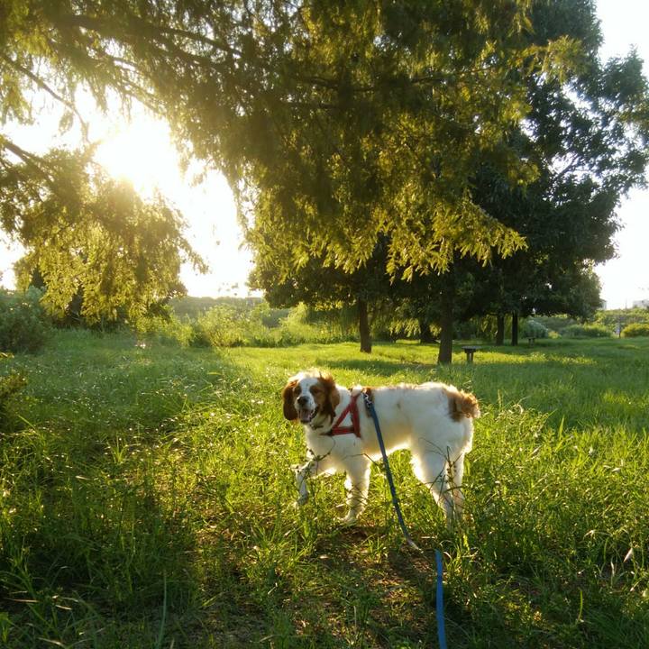 19c345a4 9900 4452 a462 16532c117428 1534679607018