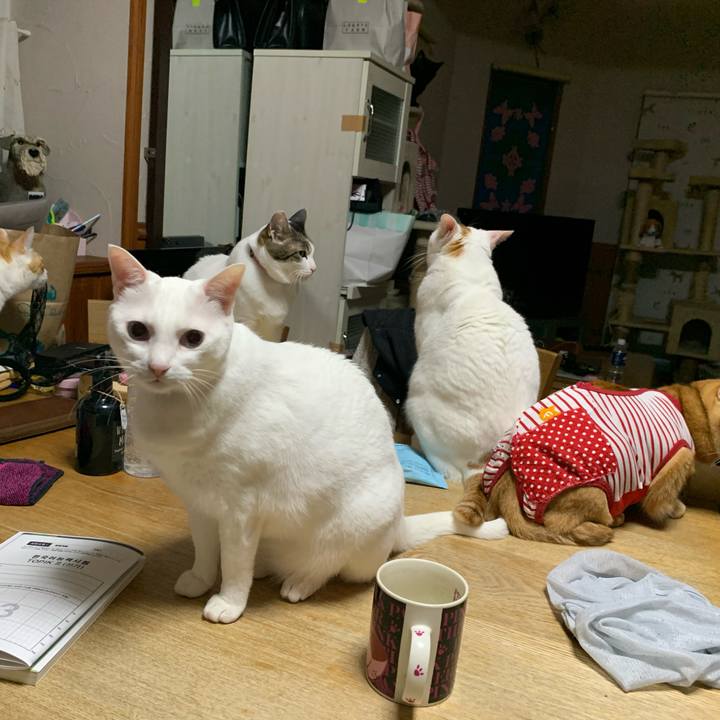 19c34ef5 532f 4abf 8136 ffc866c36ef2 1615047908120