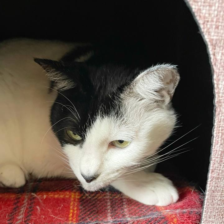 19c382d1 7d76 408f a716 d747ebc0ccda 1766209714658