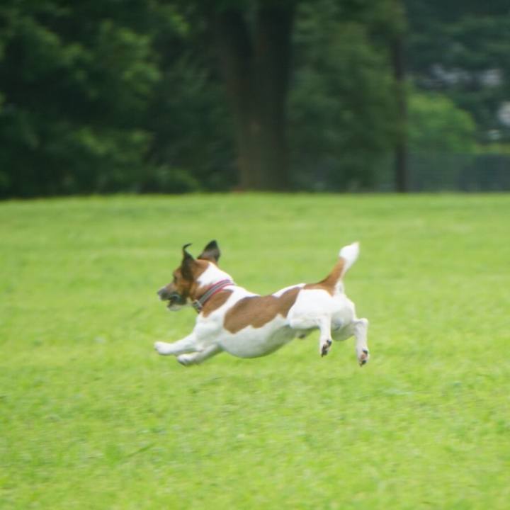 19c39dd2 955e 427d 9f74 35afa7e1c1ea 1563404512572