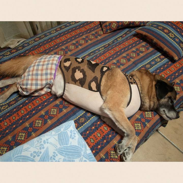 19c3ae9e c4d4 4ae2 80d4 5182114fe5cf 1682214672975