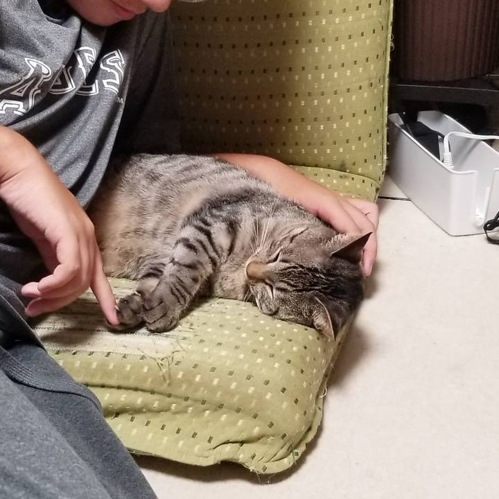 19c3bc5e 4807 4d59 84c3 86b522006437 1691418090661