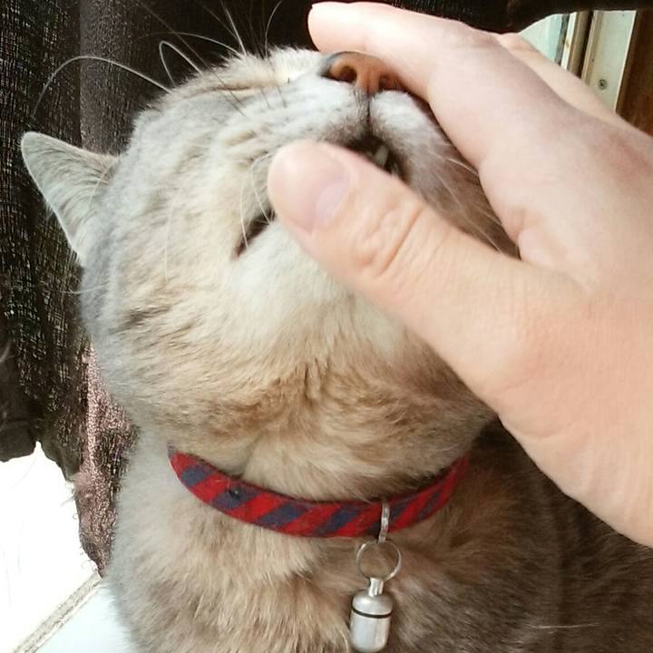 19c3dbbe 54f0 4ff3 997d 509cfeb8b3be 1587257921056