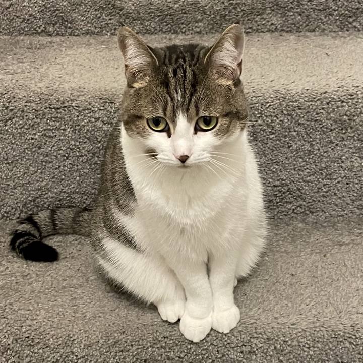 19c3fa9d 6f85 446f 8ce6 62cc67174a8b 1723424910521