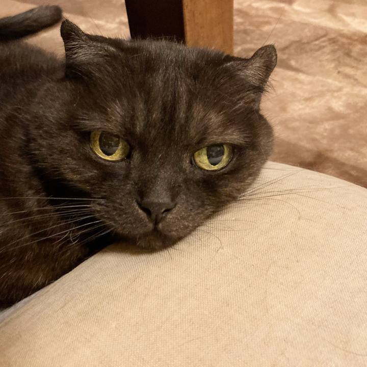 19c4020e 7525 4169 806e 5efb2189f2d2 1623594163096