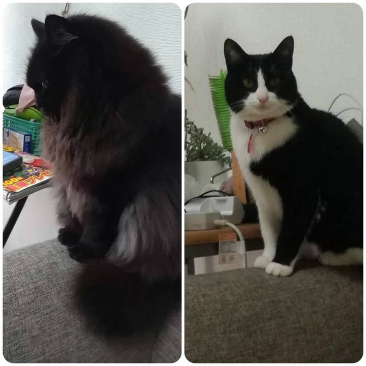 19c40f49 bbba 4b61 b2e2 ef3fa1c2b797 1551860821370