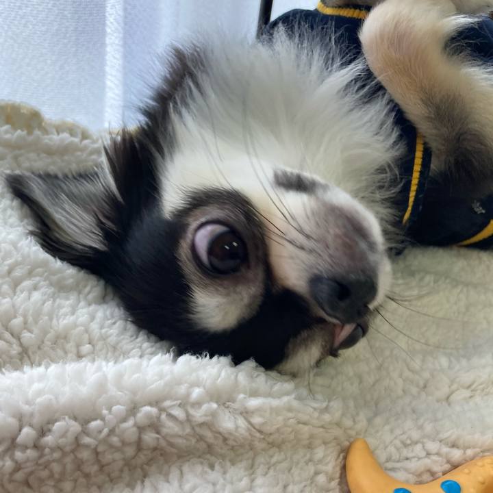 19c41cd1 3ca9 4242 a143 b48a6112a60c 1647665433929