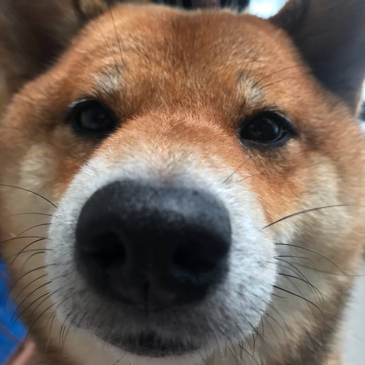 19c426c4 4096 412a bb36 0ffb99e9ece7 1560988122108