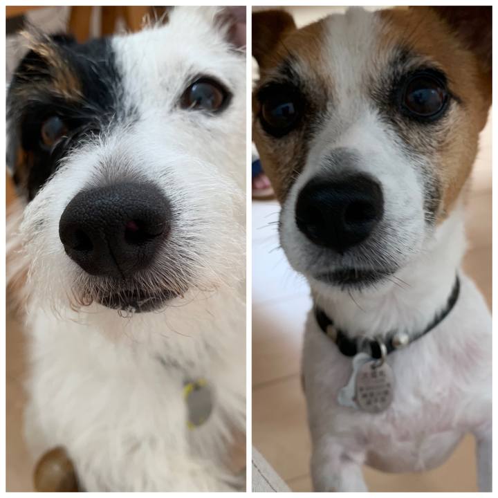 19c42bd6 7135 4537 a208 c06d64782b6e 1565915104079