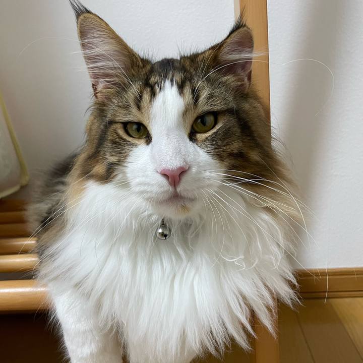 19c44075 f521 421a b13a 2d2cdd0e5d4c 1645909509505