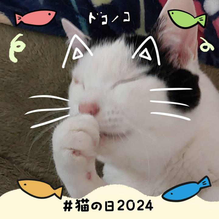 19c44dbf 52af 4607 8940 6413c0554132 1708554039501