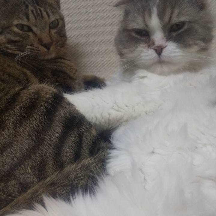 19c47afc fec0 438c 96a3 5002c05eb708 1682594215257