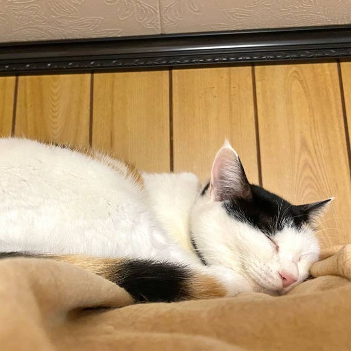 19c4ac1c 6a16 4447 9565 5c7f1dc29a51 1665241625786